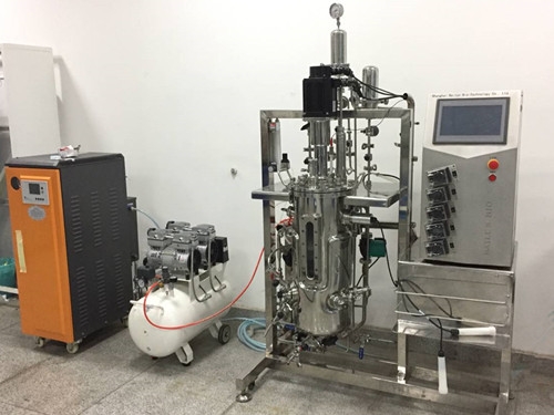 Jiangsu30L  fermenter|bioreactor