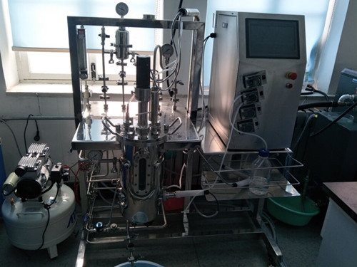 Jiangsu10L bioreactor|fermenter